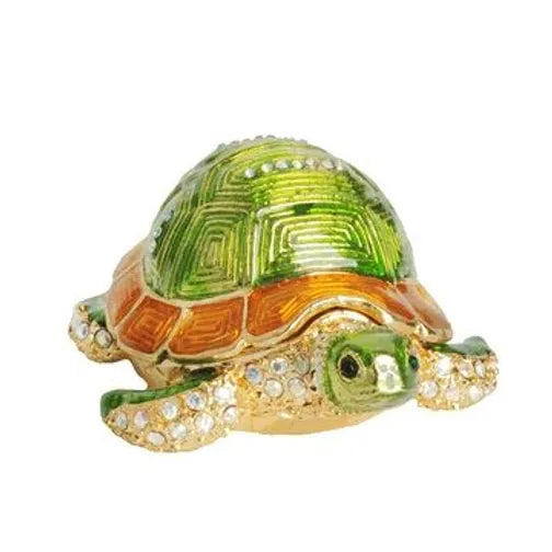 Turtle BX70