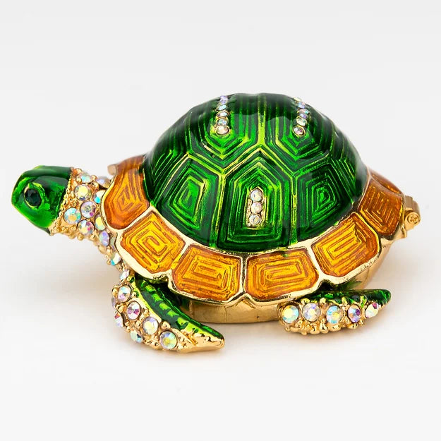 Turtle BX70